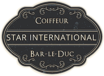 Logo Star international