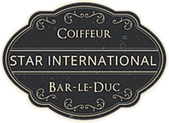 Logo Star international